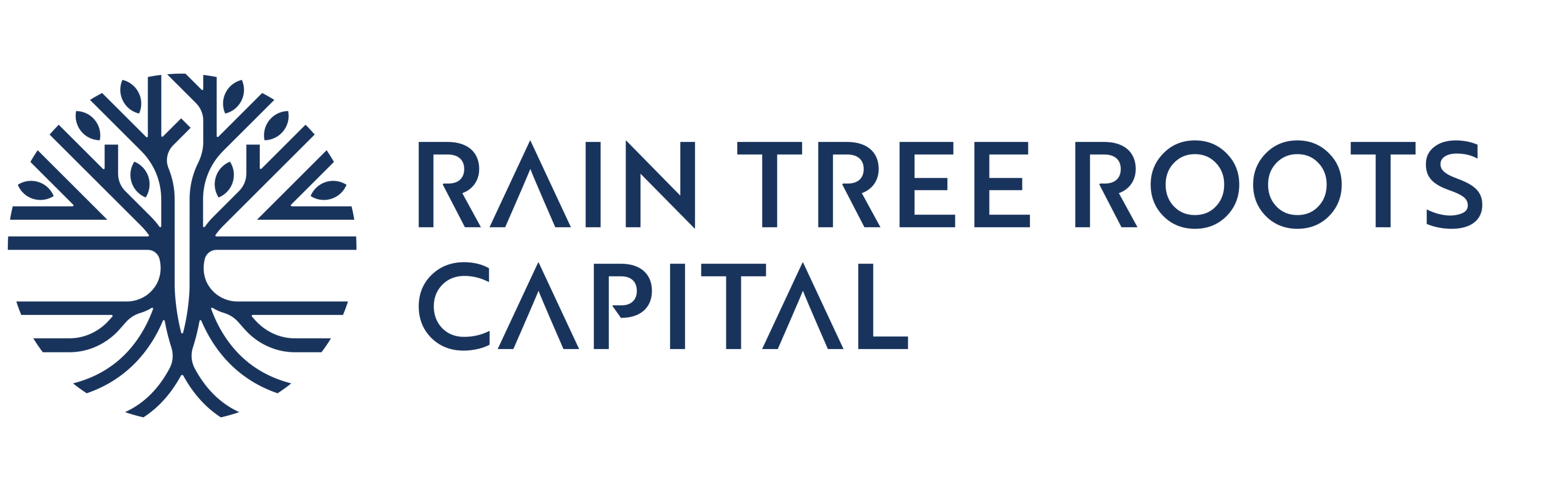 Rain Tree Roots Capital